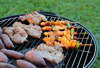 Closeup of  grilled pork , chicken barbecue and tomato on gridiron.