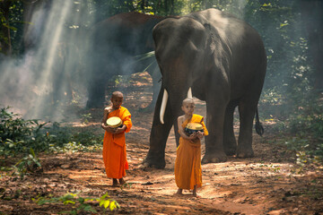 Monks or novices and elephants walking alms round. Buddhist monk walking in forest sunset light...