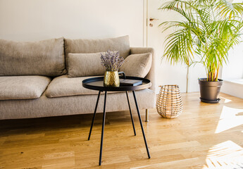 Minimalist modern home living room black accent piece table with gold color vase and book black metal table on natural oak hardwood floor.