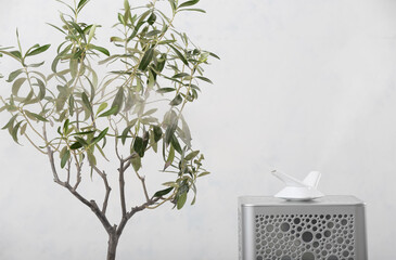 Modern humidifier and houseplant on light background