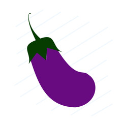 eggplant vegetable illustration