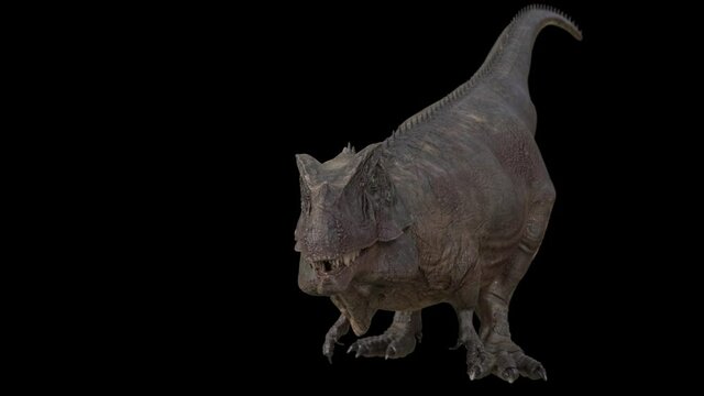 Hybrid Giganotosaurus Cinematic roar animation, 3d rendering