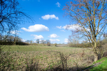 Obraz premium Nature 