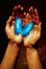 artistic picture of female hands with blue butterfly in palms over black background like spiritual...
