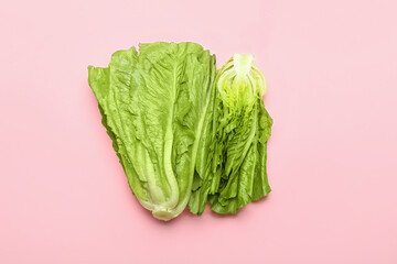 Fresh romaine lettuce on color background