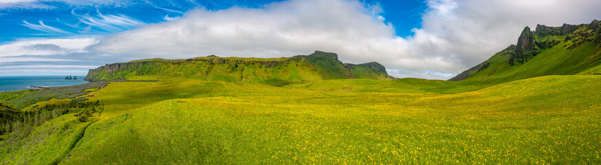 Panoramic view over hiking trail through yellow meadow flowers field near Vik town, with Reynisdrangar rock pillars, South Iceland at summer sunny day and blue sky.