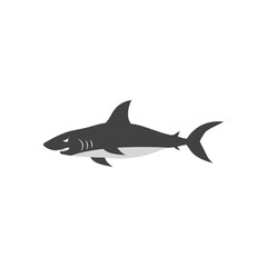 Shark icon design illustration template