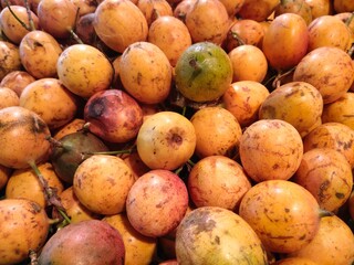 selective focus on passion fruit (Passiflora edulis)