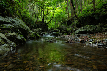 Obraz premium 渓谷