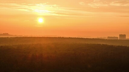 Sunset of the big red sun over the evening trees in the misty forest, time-lapse - Powered by Adobe