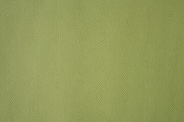 background for photography with texture of green cardboard