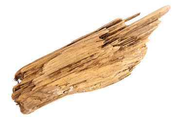 Piece of driftwood isolated on white