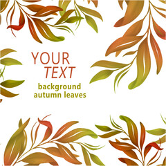 Fototapeta na wymiar Set of background template with leaves. Autumn banner design with leaves. 