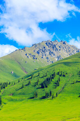 Obraz premium Nalati grassland with beautiful mountain natural landscape in Xinjiang,China.