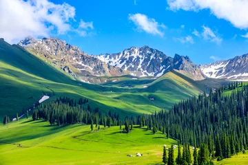 Gordijnen Nalati grassland with beautiful mountain natural landscape in Xinjiang,China. © ABCDstock