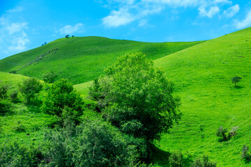 Fototapeta na wymiar Nalati grassland with beautiful mountain natural landscape in Xinjiang,China.