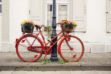 Bicycle with flowers in basket in front of  white wall