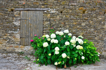 glimpse of salt san Giovanni cuneo Italy