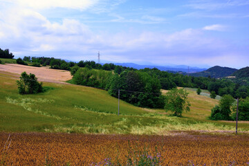Fototapeta premium panorama of the langhe in sale san giovanni cuneo italy
