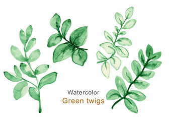 Watercolor drawing of green leaves,Hand drawn watercolor leaves set isolated on white.Set of watercolor leaves.