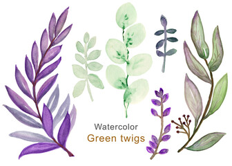 Watercolor drawing of green leaves,Hand drawn watercolor leaves set isolated on white.Set of watercolor leaves.