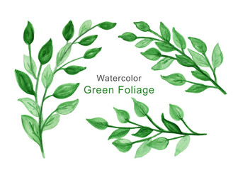 Watercolor drawing of green leaves,Hand drawn watercolor leaves set isolated on white.Set of watercolor leaves.