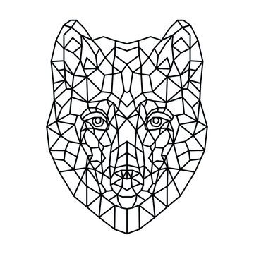 Geometric vector animal wolf head on white background. Vector