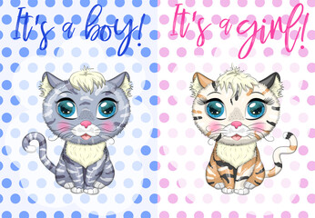 Fototapeta premium Baby Shower greeting card with Cute Kittens boy and girl