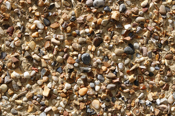 Textured pebbledash background with stones in a variety of colours © Jane Tansi
