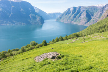 노르웨이 피오르드