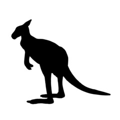 Black silhouette of a kangaroo animal on a white background.Kangaroo view in profile.Vector illustration.