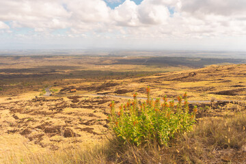 Landscape of Masaya Volcano National Park, a tourist place in Nicaragua.