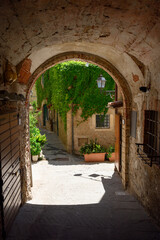 narrow alley in picturesque tuscan village of Capalbio
