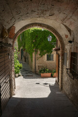 Fototapeta na wymiar narrow alley in picturesque tuscan village of Capalbio