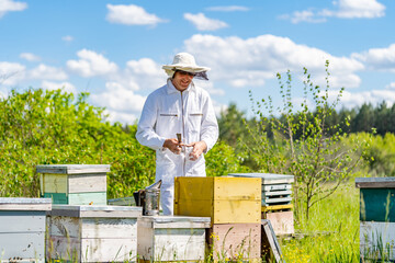 Handsome beekeeper working with beehives. Man in protective suit in bee farm.