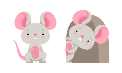Cute Grey Mouse Character Sitting and Peeped Out from Hole Vector Set