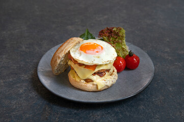 Cheese burger with egg and vegetable