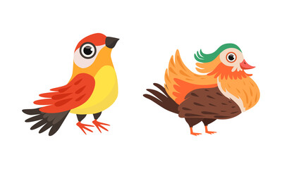 Bird as Winged Feathered Aves with Beaked Jaw Vector Set