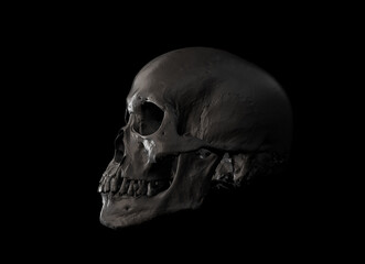 Human skull in profile face a black background. Concept art, death, horror for print, poster. Symbol of spooky Halloween, immortal, pirate. 3d rendering illustration. Graphic Design