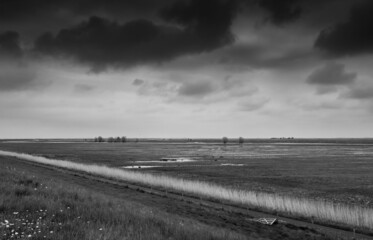 Landschaft an der Ostemüdung in die Elbe bei einen Regenschauer in schwarzweiß