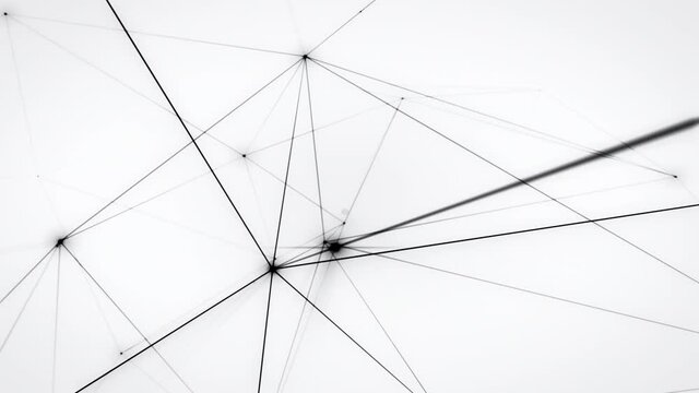 Growing network connections. An abstract background of internet communication or social media. Black on white background. Seamless loop. 4K