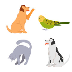 pet pets: dog, labrador, cat, parrot, budgerigar. cute animals. veterinary medicine. friends of man. stock vector illustration isolated on white background.