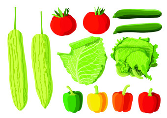 mix vegetable fresh and bell pepper,bitter gourd,tomato,cucumber,chinese cabbage,lettuce,on white background