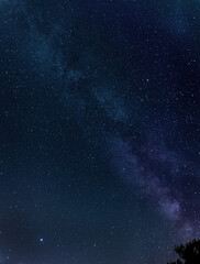 Fototapeta na wymiar Milky way starry sky at night