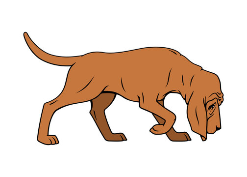 Hound Dog Standing. Vector clipart.