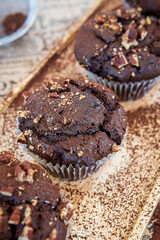Healthy gluten free chocolate muffins with pecan nuts on a wooden serving board. Homemade, freshly baked delicious cupcakes with a crispy top and cocoa powder. Nutrition concept, selective focus 