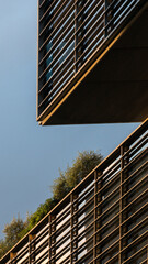 Among building shapes