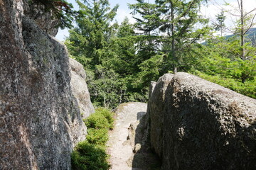 Falkenfelsen Schwarzwald