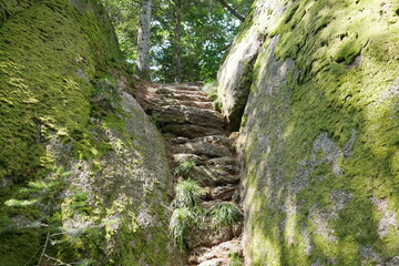 Felsentreppe Granit Falkenfelsen