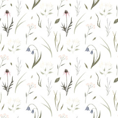 Wild flowers and herbs. Floral seamless pattern.